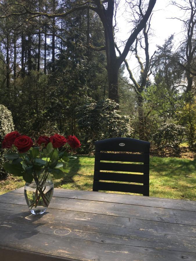 Geschakelde Bungalow Op De Veluwe "De Eekhoorn" Otterlo Bagian luar foto